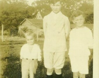 Vintage 1920s 3 Farm Boys Brothers Photo Takn in Field Shorts Knickers Jackets Black Stockings Boots White Jackets Cute Faces