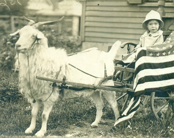 WW1 Vaterländisches Kleinkind im Ziegenkarren-Geißlein-Zügel-Amerikanische Flagge 1910s Antike RPPC reale Foto-Postkarte