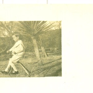 Little Boy Riding Big Wheel Tricycle Palm Tree South Bike 1910s RPPC Real Photo Postcard Photograph