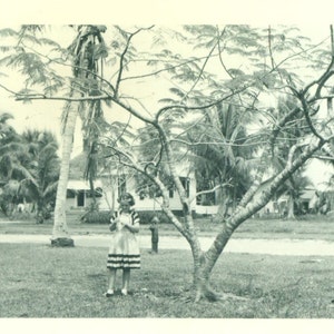 Everglades Florida Mary McKinley Standing in Front Yard Under Tree House 1951  Vintage Black White Photo Photograph