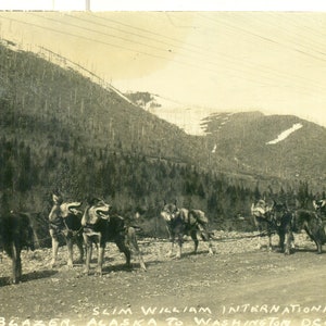 1933 Slim William Trail Blazer Alaska naar DC Man met Husky Dog Team Cart RPPC Real Photo Postcard Vintage Foto