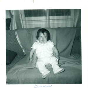 1966 Darci Lee Double Chin Baby Girl Ate Too Much Photo Black White Photographie