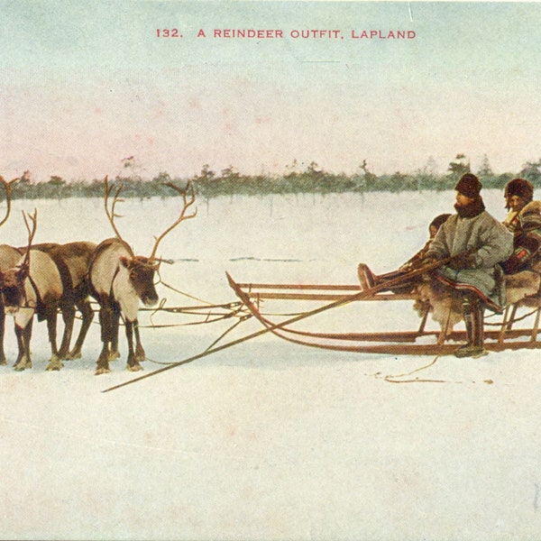 Reindeer Outfit Lapland Sled Pulling Team Antique Color Postcard Unmailed