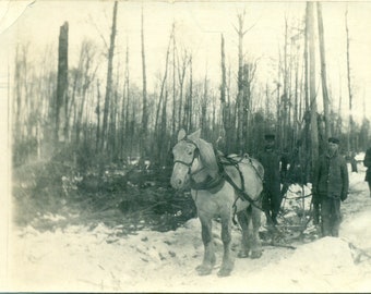 Winter-Holzfäller-Männer mit Arbeits-Pferd-Schnee-Bäumen hölzerne antike RPPC reale Foto-Postkarte