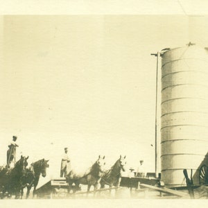 Puede incluir: Fotografía vintage en blanco y negro que representa una escena rural. Varios caballos tiran de un carro, con personas cerca. Un gran silo se alza al fondo, y una estructura de madera es visible a la derecha.