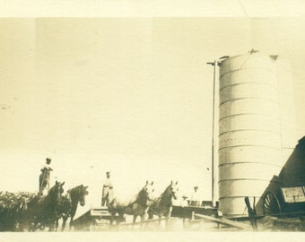 Farmers Silo Harvest On Horse Wagons Corn Grain Men 1910s RPPC Real Photo Postcard Photograph
