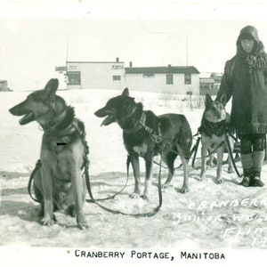 Cranberry Portage Manitoba Dog Sled Team 1934 Junior Racing World Champion Boy RPPC Real Photo Postcard Vintage Photograph