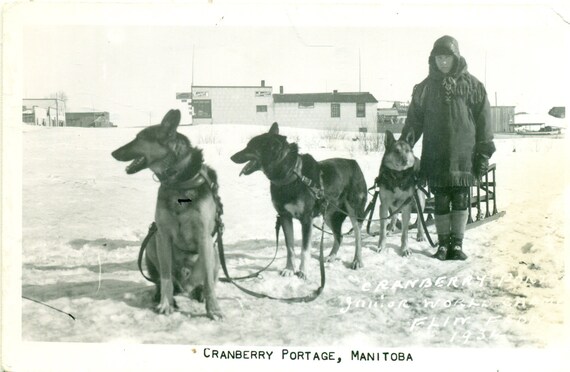 Cranberry Portage Manitoba Dog Sled Team 1934 Junior Racing World