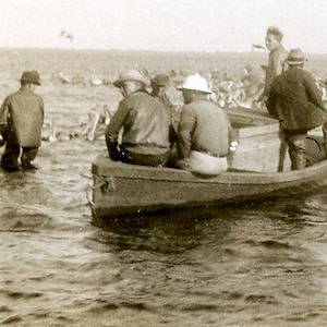 Set di reti da pesca vintage per salmone dell'Alaska, uomini su barche in acqua che tirano le reti, gabbiani, uccelli in attesa, foto antica, fotografia