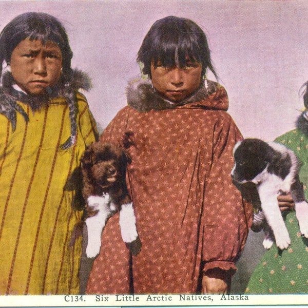 Six Little Arctic Natives Eskimo Girls Holding Puppy Dogs Inuit Kuspuk Vintage Postcard Unmailed