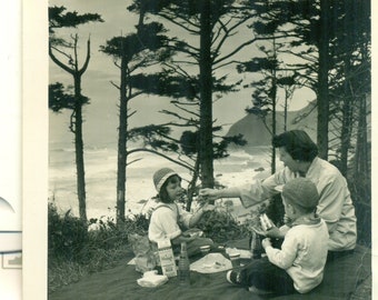 1954 Family Picnic River Bank Mother Kids Sandwiches Milk Carton Vintage Black White Photo Photograph