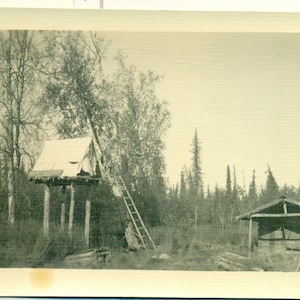 Alaska Trapper's Cabin With Canvas Tent Cache Ladder Rest Stop for Trap Line Vintage Black White Photo Photograph