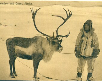 Alaska Eskimo Man Traditional Fur Clothing With Reindeer And Driver 1900s Antique Postcard