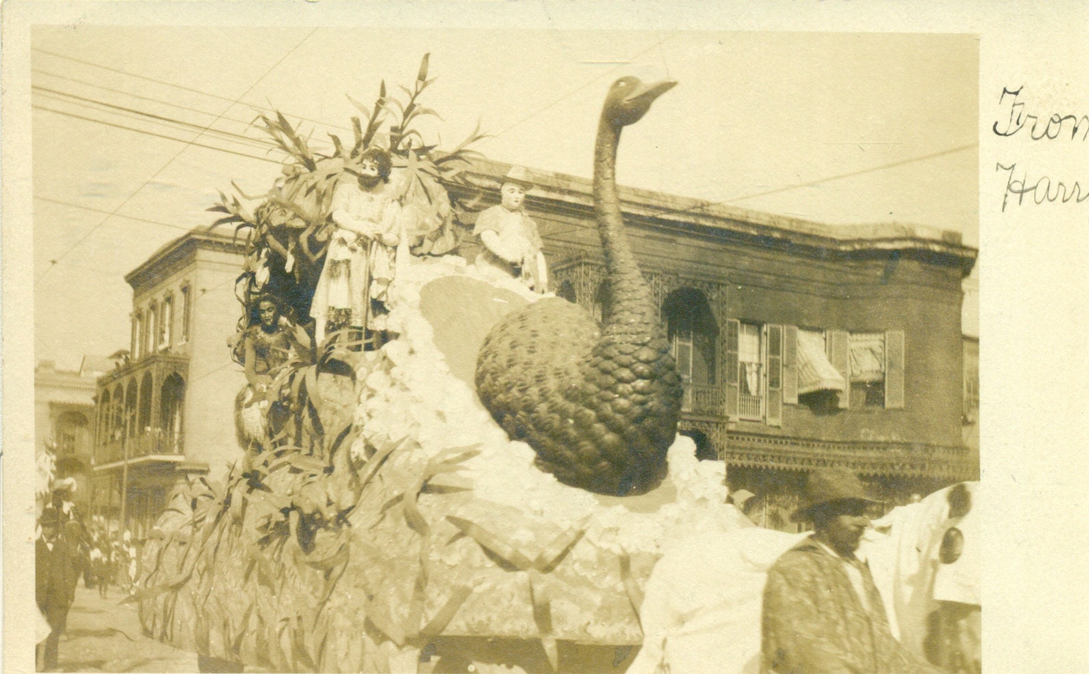 Peacock Parade Float Carnival Wagon From Harry Antique RPPC Real