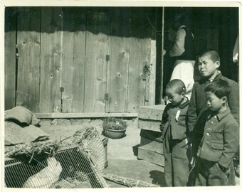 Little Japanese Farm Boys Watching White Rabbit In Cage Vintage Black White Photo Photograph