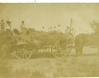 Heuwagen Fahrt Damen auf Pferdewagen Antike RPPC Real Photo Postkarte stehend