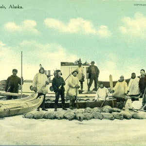 1909 una cattura di foche Alaska Native Eskimo Kayak pelle uomini bianchi azienda fucili nave cartolina a colori