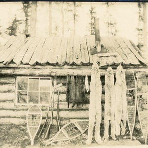 Antico cacciatore di pellicce di lince e lontra dell'Alaska, pellicce di ermellino appese a racchette da neve di una baita di tronchi, foto d'epoca, fotografia in bianco e nero