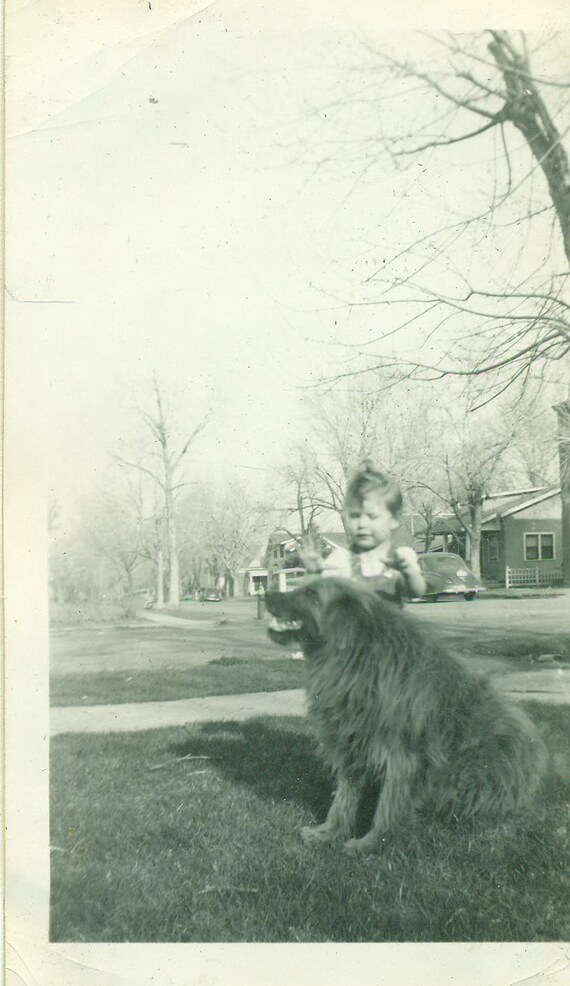 Chien Géant Et Petit Bébé Fille Debout Extérieur Vintage Noir Blanc Photo Photographie