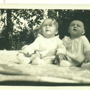 1920s Curious Babies Looking Up Sitting Outside Blanket 20s Antique Photo Black White Photograph