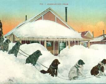 Nome Alaska Dog Team Husband Wife Sled Snow Covered House Antique Color Postcard Unmailed