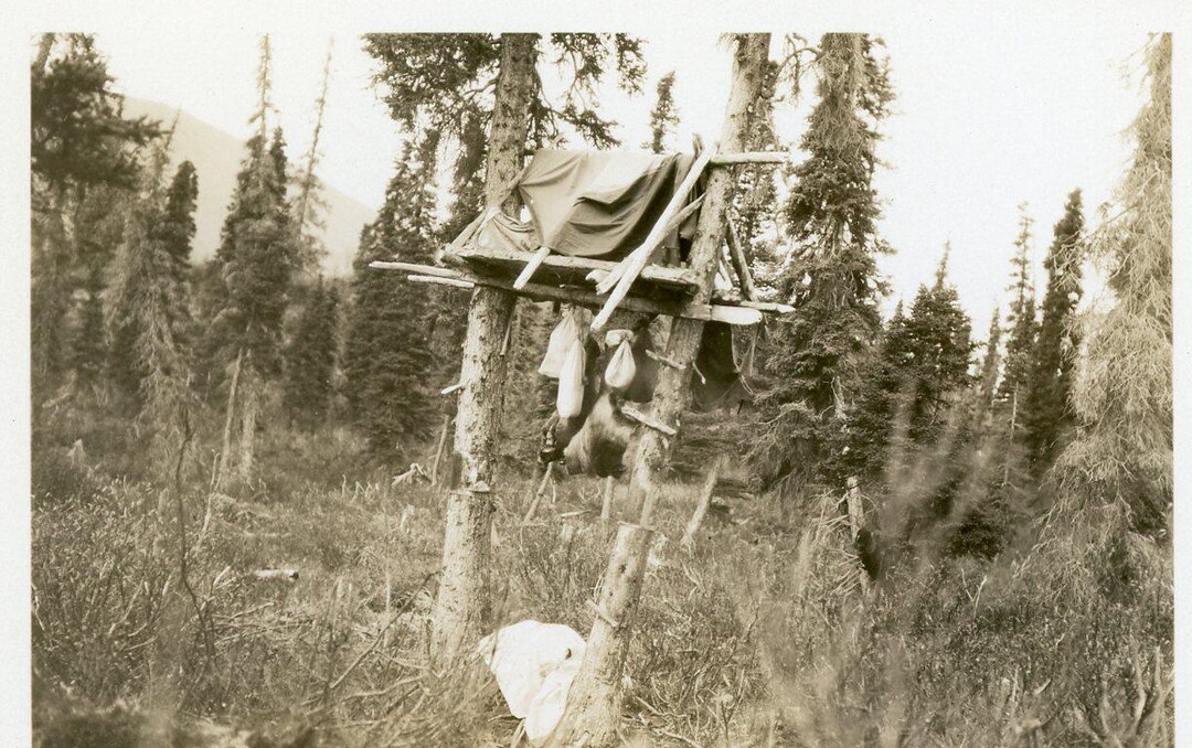 Kenai Lake Alaska Hunting Camping Cache Anti Bear Storage Antique Photo ...