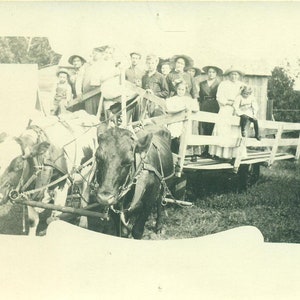 Przejażdżka wozem rolniczym Zespół wołów ciągnących wóz pełen ludzi Dzieci Kobiety Lata 1910. XX w. RPPC Antyczna prawdziwa pocztówka ze zdjęciem Czarno-białe zdjęcie