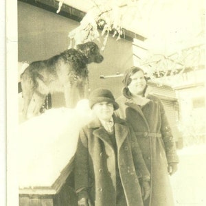 1920s Dog Standing on Top of House Kids Winter Snow Black White Photograph