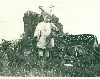 Young Boy Petting Fawn Deer Meadow AZO Antique RPPC Real Photo Postcard