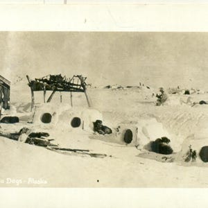 Op de afbeelding: Vintage zwart-wit ansichtkaart getiteld "613 Eskimo Dogs - Alaska." De afbeelding toont een besneeuwd landschap met verschillende iglo-achtige structuren, een klein houten gebouw en verschillende honden. De honden rusten bij de structuren.