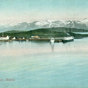 Nave a vapore dell'Alaska del porto olandese del 1900 al molo Cartolina a colori anticata non spedita