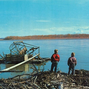 Athabaskan Indian Salmon Fish Wheel Yukon River Circle Alaska Cartolina a colori degli anni '60 non spedita