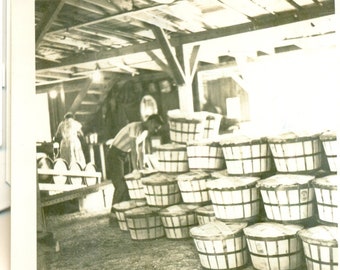 1950 Fruit Apple Orchard Bushel Baskets Stacked Inside Barn Vintage Photo Black White Photograph