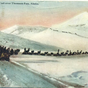 1911 Valdez Alaska Winter Tail Over Thomson Pass Mule Train Cargo Antique Color Postcard spedita