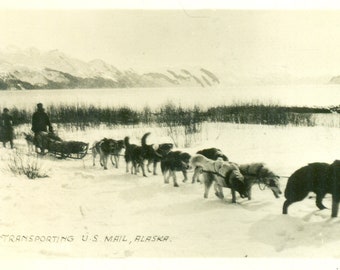 Dog Team Sled Mail Musher Cargo Sled Antique RPPC Real Photo Postcard