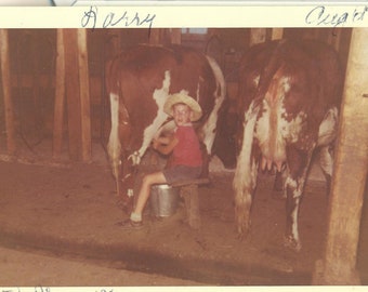 1961 Boy Milking Cows at the Farm Kodacolor Print 60s Vintage Photograph Color Photo