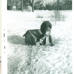 1960 Beagle Hound Dog Getting Love Doghouse Winter Snow Kid Photo Black White Photograph