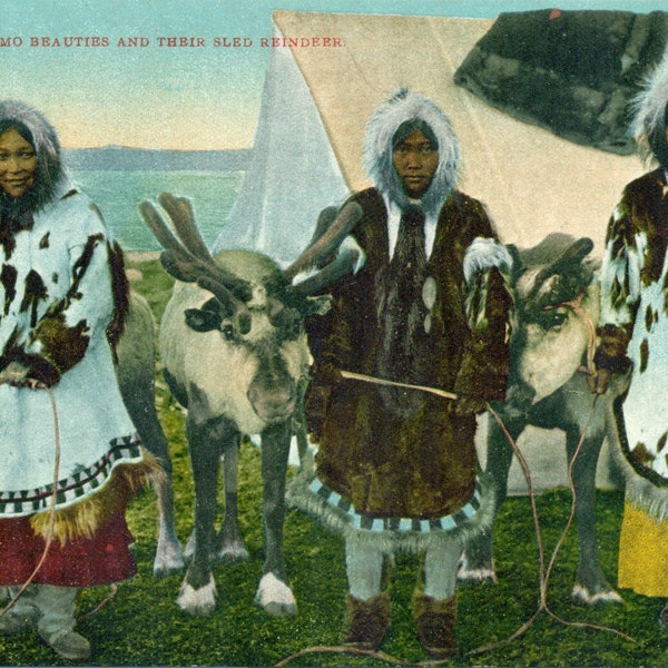 Alaska Eskimo Women With Sled Reindeer Fur Parkas Summer Camp 1910s Antique Color Postcard Unmailed