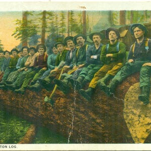 May include: Vintage postcard featuring a group of men sitting on a large log in a forest setting. The men are dressed in work clothes and hats, with axes visible. The text "A WASHINGTON LOG" is at the bottom.