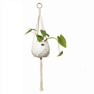 Macrame plant hanger