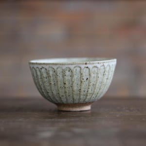 Shinogi Rice Bowl - Oatmeal