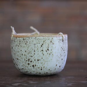 Hanging Planter - Matte Spotty