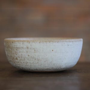 May include: A round ceramic bowl with a speckled off-white glaze and a textured, matte finish. The bowl features a slightly uneven rim and subtle brown flecks throughout the surface, showcasing a handcrafted appearance with a neutral color palette.