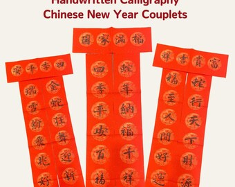 Handwritten Chinese New Year Couplets | 2025 Spring Festival Door Decor