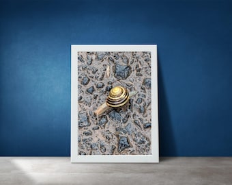 Grove Snail | Nature Photography | Digital Download