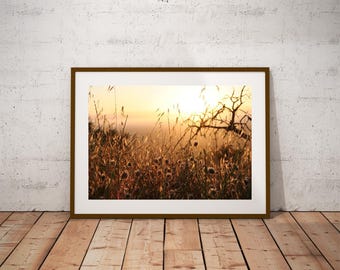 Golden Hour | Landscape | Still Life Photography | Digital Download
