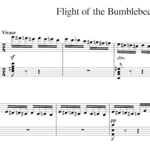 May include: Sheet music for the song "Flight of the Bumblebee" with the title and composer's name at the top. The music is written in the key of C major and includes a tempo marking of "Vivace" and dynamic markings of "sf" and "dim."