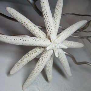 Starfish Christmas Tree Topper with Sparkles and Mini Knobby