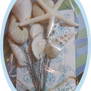 May include: A bouquet of white seashells and a white starfish tied with a brown ribbon. The bouquet is wrapped in clear plastic and placed on a blue and white patterned background.