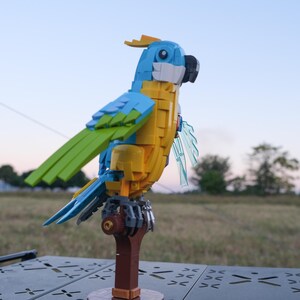 Papageien-Bauklötze, Vogel-Themen-Bausteine, Geschenke für Vogelliebhaber, Lernspielzeug für Jungen/Mädchen, Sets für Erwachsene zum Bauen und Ausstellen